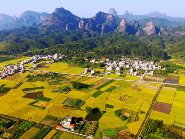 独家！环境规划院孙宁等：历史遗留矿山