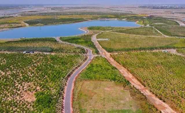 张掖厚植高质量发展底色，筑牢西部生态