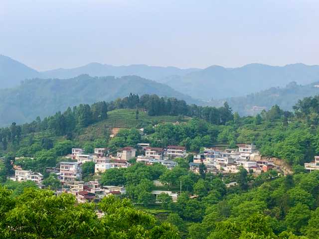 云南临沧安石村:“六园共建”村民倍享生态红利 云南临沧安石村:“六园共建”村民倍享生态红利