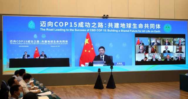 “迈向COP15成功之路:共建地球生命共同体”圆桌会成功举办 “迈向COP15成功之路:共建地球生命共同体”圆桌会成功举办