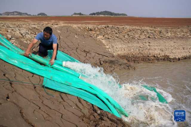鄱阳湖：为候鸟“留水”