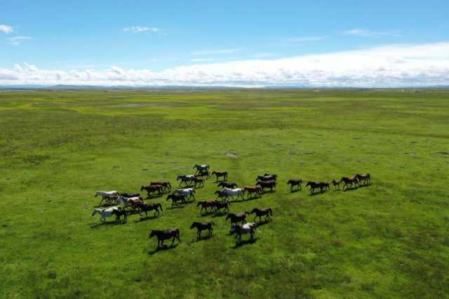 江河奔腾看中国丨黄河奔流泽陇原——甘肃绘就黄河保护治理新画卷 江河奔腾看中国丨黄河奔流泽陇原——甘肃绘就黄河保护治理新画卷