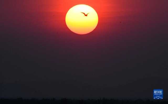 (新华全媒+)湿地之美丨广西山口红树林生态国家级自然保护区 (新华全媒+)湿地之美丨广西山口红树林生态国家级自然保护区