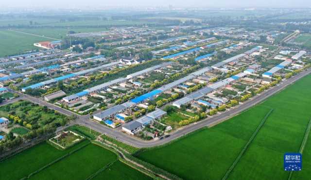 大美湿地城市丨盘锦