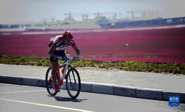 大美湿地城市丨盘锦