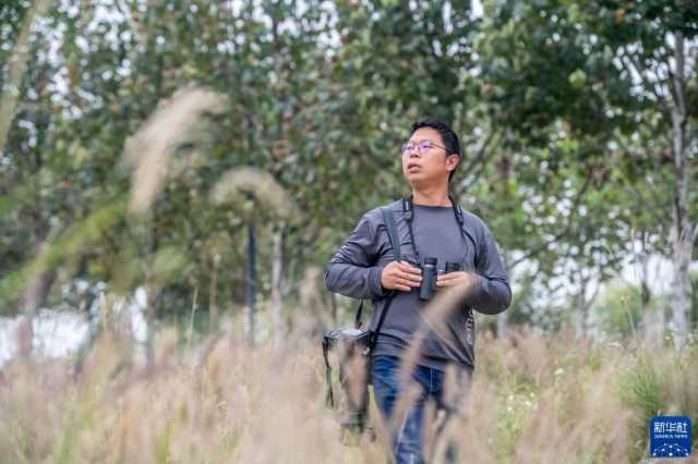 新华全媒+丨“鸟博士”见证长江上游最大江心岛生态蝶变