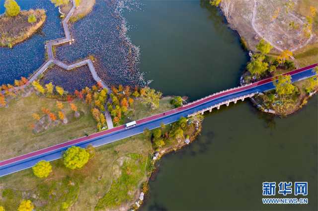【“飞阅”中国】安徽淮北：湿地秋色醉人心