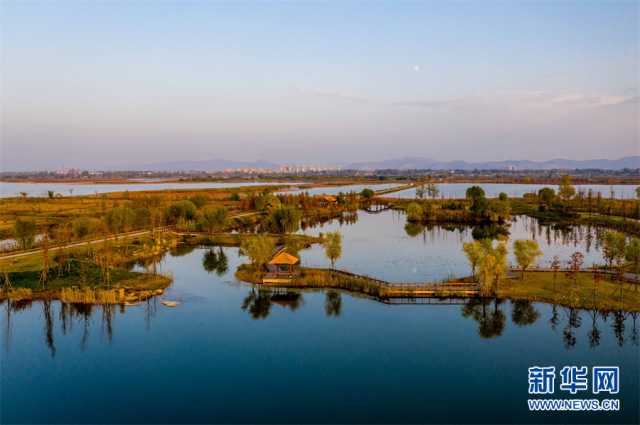 【“飞阅”中国】安徽淮北：湿地秋色醉人心