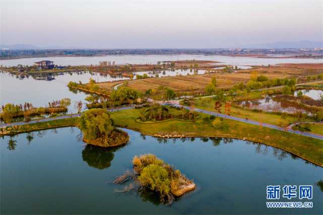 【“飞阅”中国】安徽淮北：湿地秋色醉人心