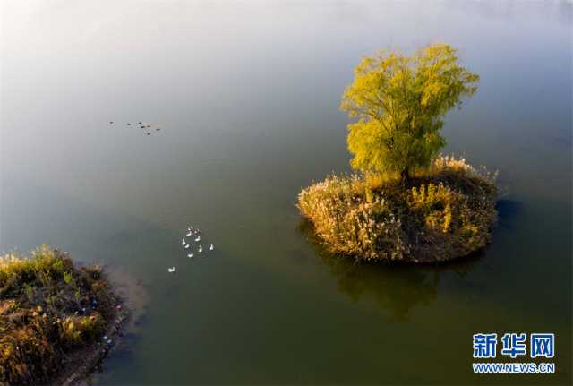 【“飞阅”中国】安徽淮北：湿地秋色醉人心