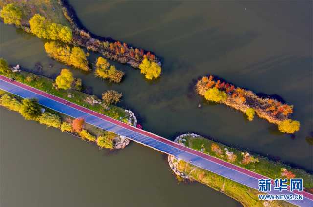 【“飞阅”中国】安徽淮北：湿地秋色醉人心