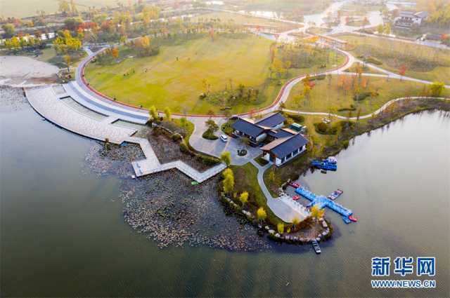 【“飞阅”中国】安徽淮北：湿地秋色醉人心