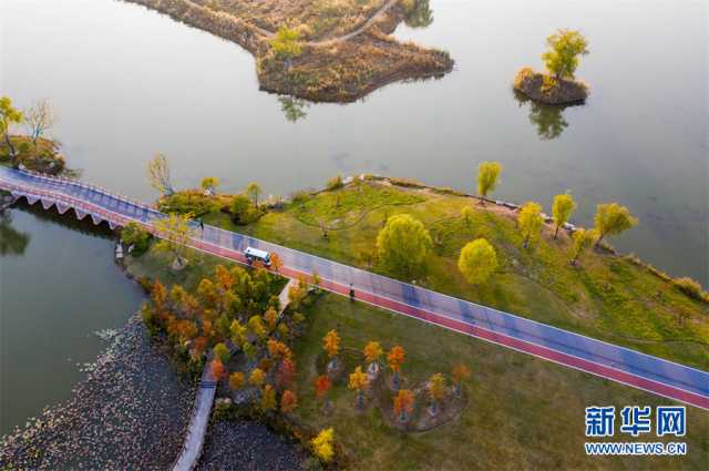 【“飞阅”中国】安徽淮北：湿地秋色醉人心
