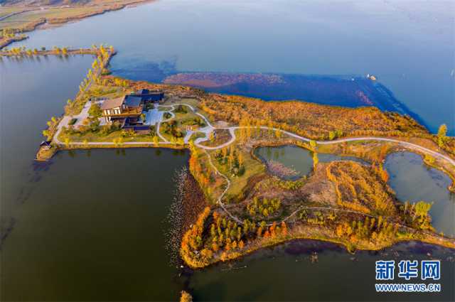 【“飞阅”中国】安徽淮北：湿地秋色醉人心