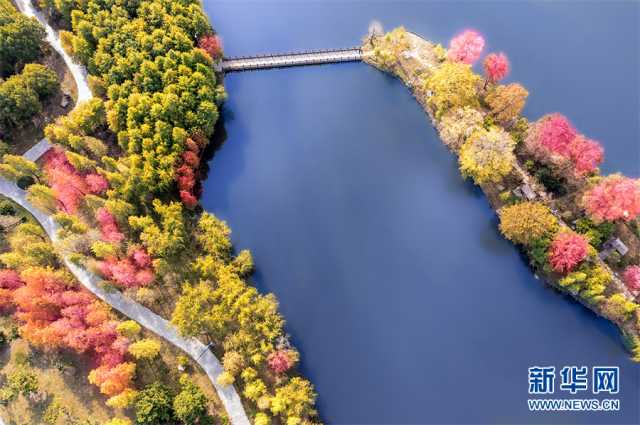 【“飞阅”中国】斑斓秋色 多彩湿地