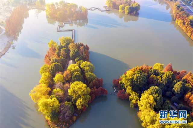 【“飞阅”中国】斑斓秋色 多彩湿地