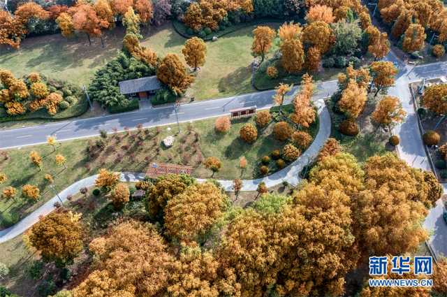 【“飞阅”中国】斑斓秋色 多彩湿地