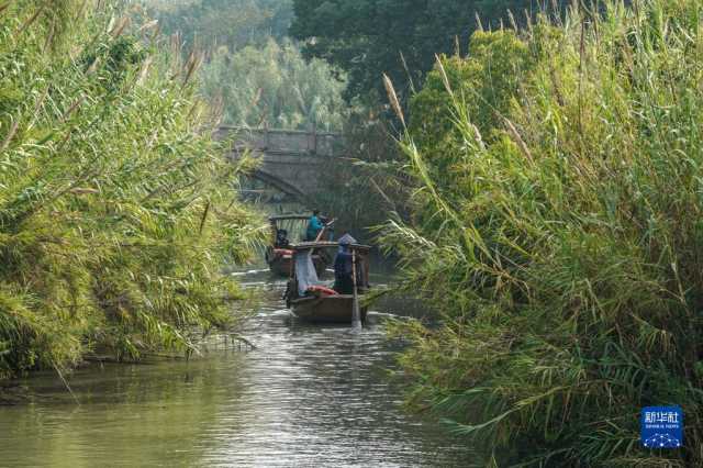 大美湿地城市丨常熟 大美湿地城市丨常熟
