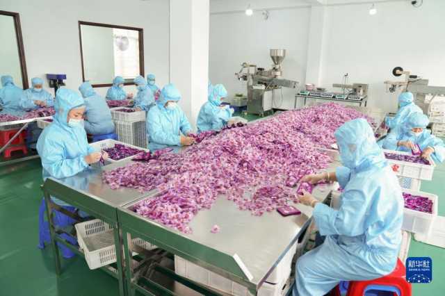 守好最北生态屏障——黑龙江大兴安岭林区转型记 守好最北生态屏障——黑龙江大兴安岭林区转型记