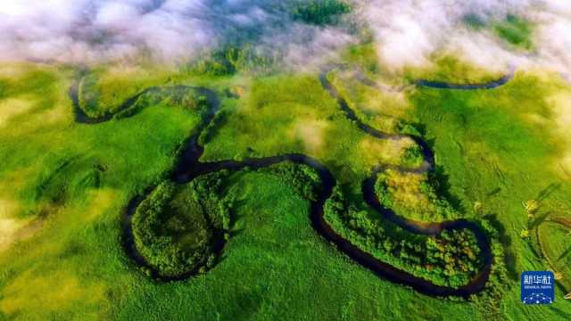 守好最北生态屏障——黑龙江大兴安岭林区转型记 守好最北生态屏障——黑龙江大兴安岭林区转型记