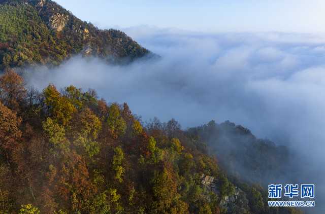 【“飞阅”中国】初冬大别山 云霞映松尖 【“飞阅”中国】初冬大别山 云霞映松尖