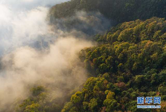 【“飞阅”中国】初冬大别山 云霞映松尖 【“飞阅”中国】初冬大别山 云霞映松尖
