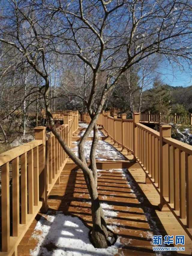 冬日，来赴一场视觉的冰雪盛宴