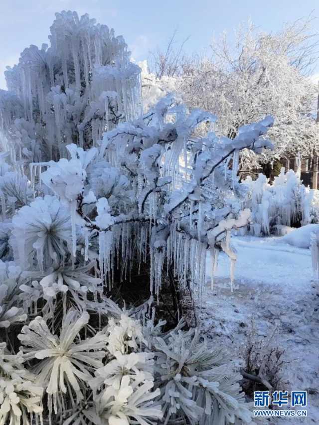 冬日，来赴一场视觉的冰雪盛宴