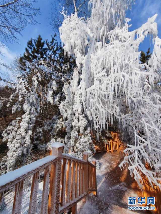 冬日，来赴一场视觉的冰雪盛宴